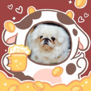 她说她爱科目三