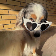 ごめん、だすね