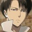 Levi&quot;s