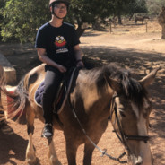 A HORSE! My kingdom for a horse!