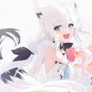 今夜成为懒喵痴