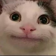 Meow Meow Kill Me Now