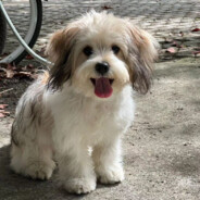 她用姨妈骗我是处