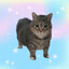 Avatar of player kAts