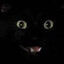 ooktism