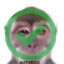 Vinisheous