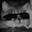 MrWhiskers