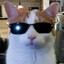 Pratzel