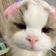 老人孩子先进圈！