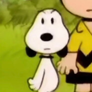 太菜了真的是米安内