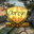 Obrzyn#COACH