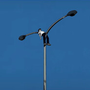 老婆今晚不在家