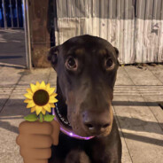 她说我的G7没我G8硬