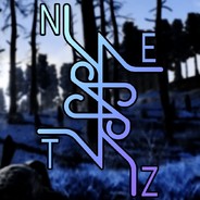 NETZZ