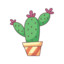 cactusEN