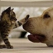 水师提督常大人