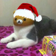 noobito