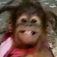 天才少女谢不rua