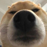 糖醋排骨