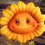 stoned sunflower