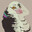 p1geon