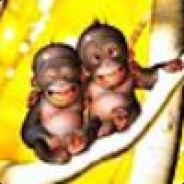 Neuer Acc: emingtam. bitte adde