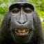 CS2 MONKEY