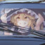 Marisa