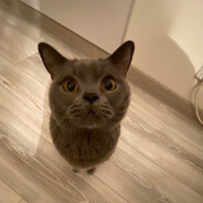 som začiatočník, sorry