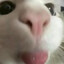Yy