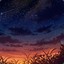 ChasingNights