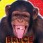 Bruce The Apeman