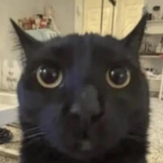 Flarp Steam avatar