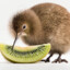 Kiwi21