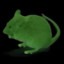 Cancer Mouse
