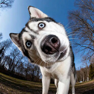 不对劲jj痒痒的