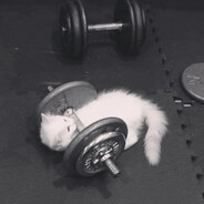 fonzy - steam id 76561198273611233