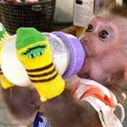 300 KM/H PEEK Pástõr