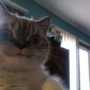 ООО "ТЪЕБАНЫ"