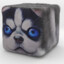 cube dog