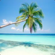 morpHi - steam id 76561197961783072