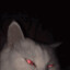 off
