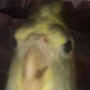 Skeht