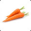 Carroty