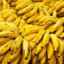 BananaMaster