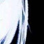 Avatar of player nasral