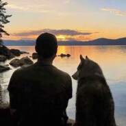 A专业催乳17559574410