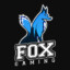 Fox Gaming