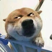 爱御姐真是太好了