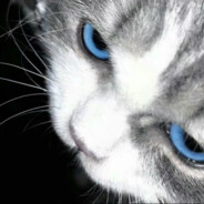 美式飞行员学弟爱上广